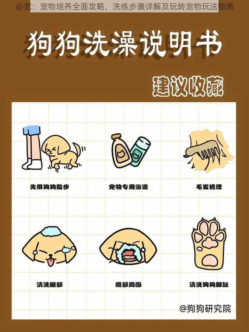 必览:宠物培养全面攻略,洗练步骤详解及玩转宠物玩法指南
