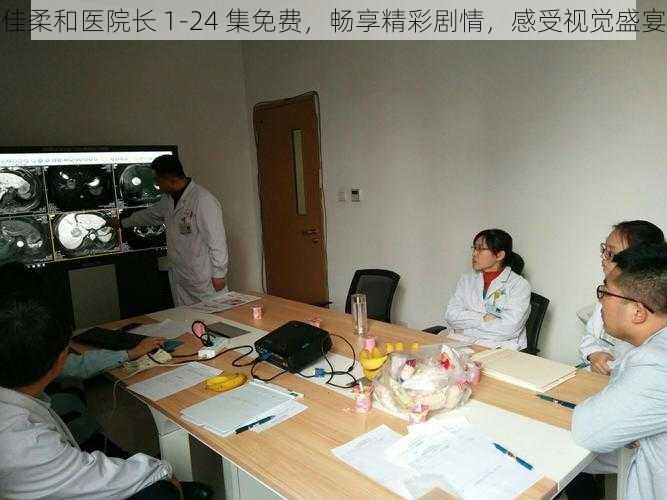佳柔和医院长 1-24 集免费,畅享精彩剧情,感受视觉盛宴