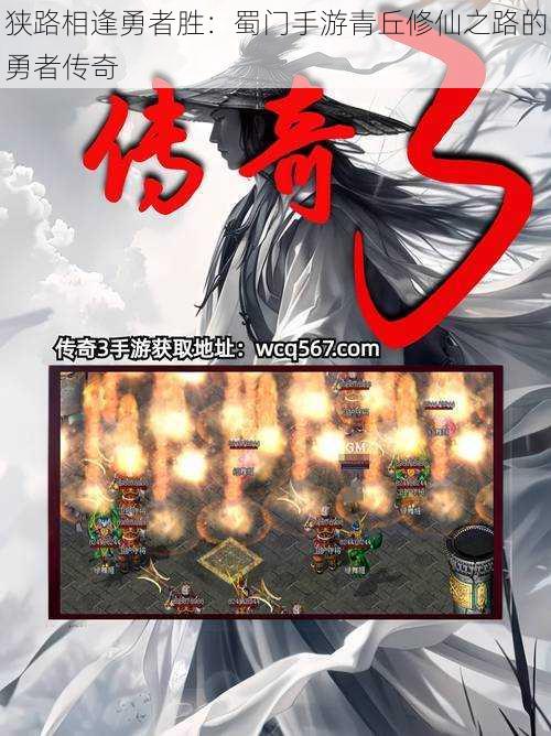 狭路相逢勇者胜:蜀门手游青丘修仙之路的勇者传奇