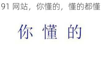 91 网站,你懂的,懂的都懂