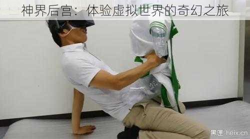 神界后宫:体验虚拟世界的奇幻之旅