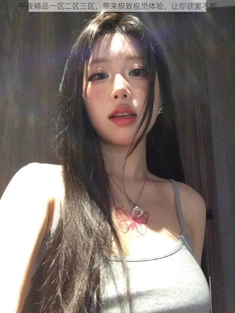 午夜精品一区二区三区,带来极致视觉体验,让你欲罢不能
