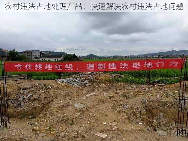 农村违法占地处理产品:快速解决农村违法占地问题