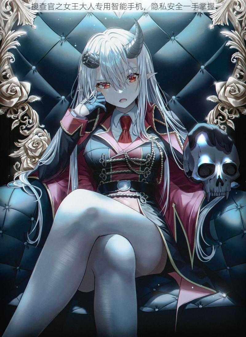 搜查官之女王大人专用智能手机,隐私安全一手掌握