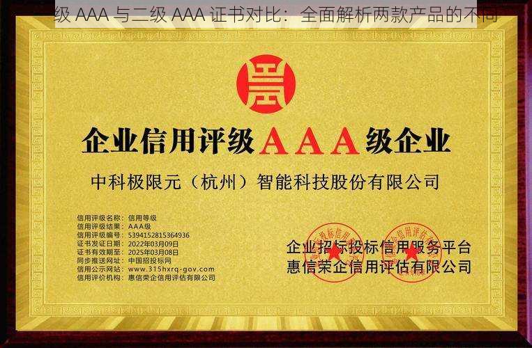 一级 AAA 与二级 AAA 证书对比:全面解析两款产品的不同