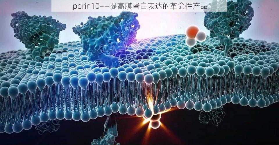 porin10——提高膜蛋白表达的革命性产品