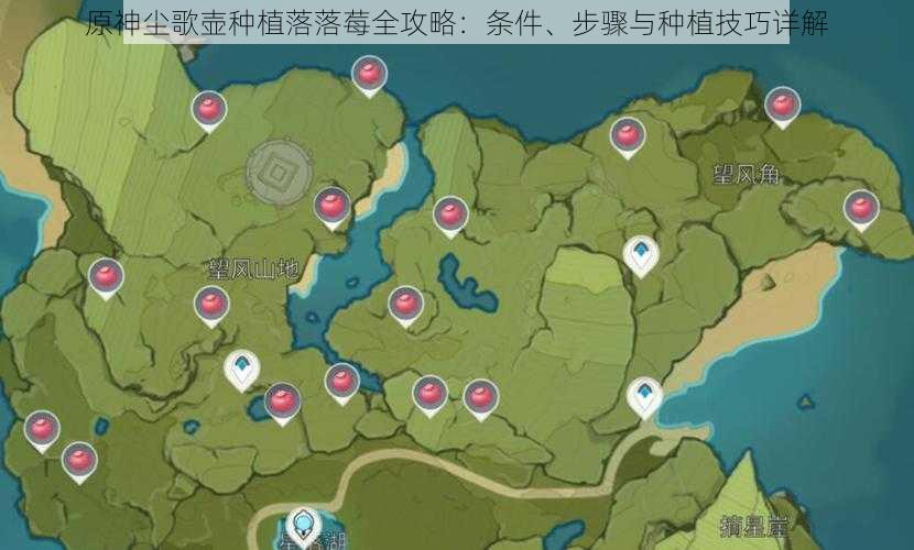 原神尘歌壶种植落落莓全攻略:条件、步骤与种植技巧详解
