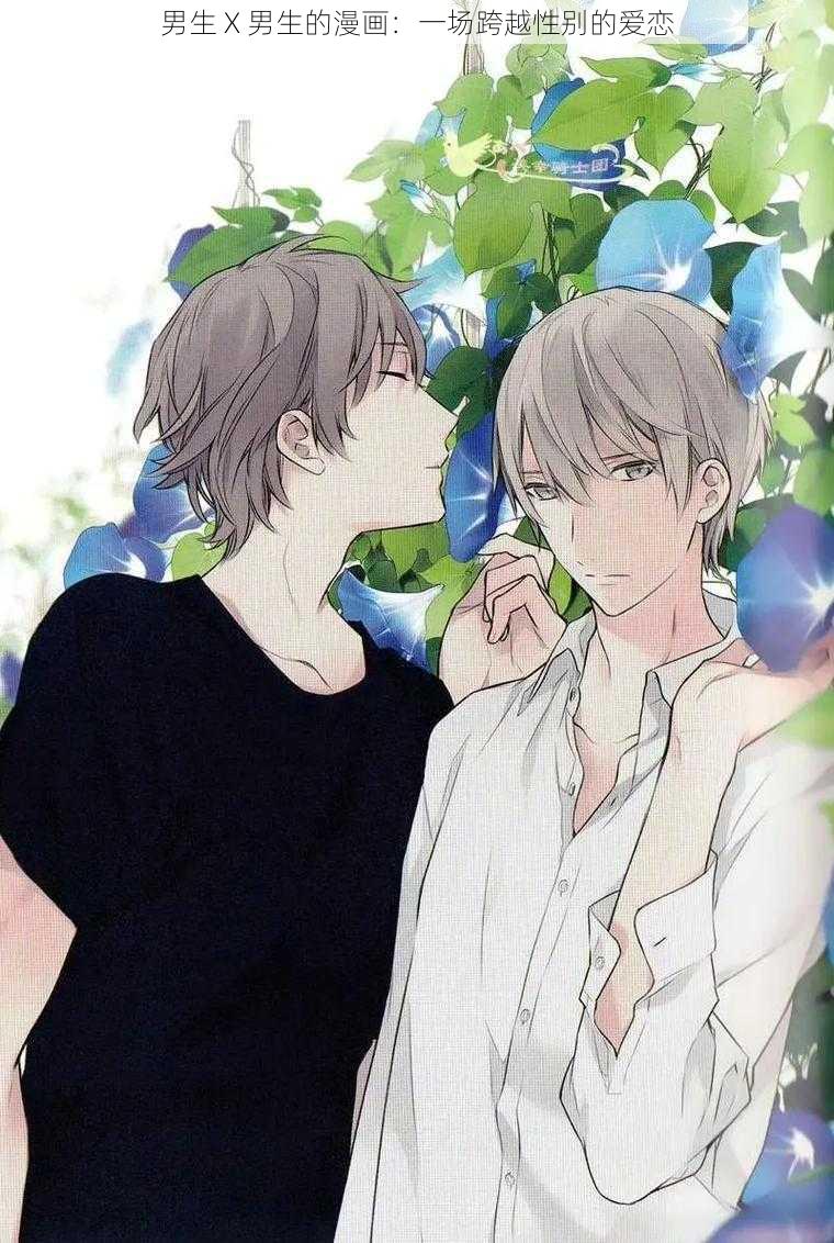 男生 X 男生的漫画：一场跨越性别的爱恋