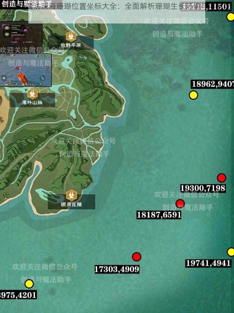 创造与魔法深海珊瑚位置坐标大全:全面解析珊瑚生长环境与寻找攻略