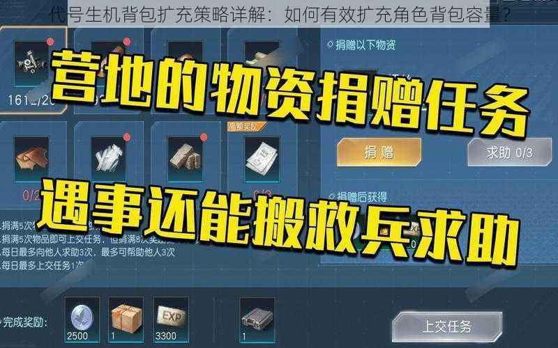 代号生机背包扩充策略详解:如何有效扩充角色背包容量?
