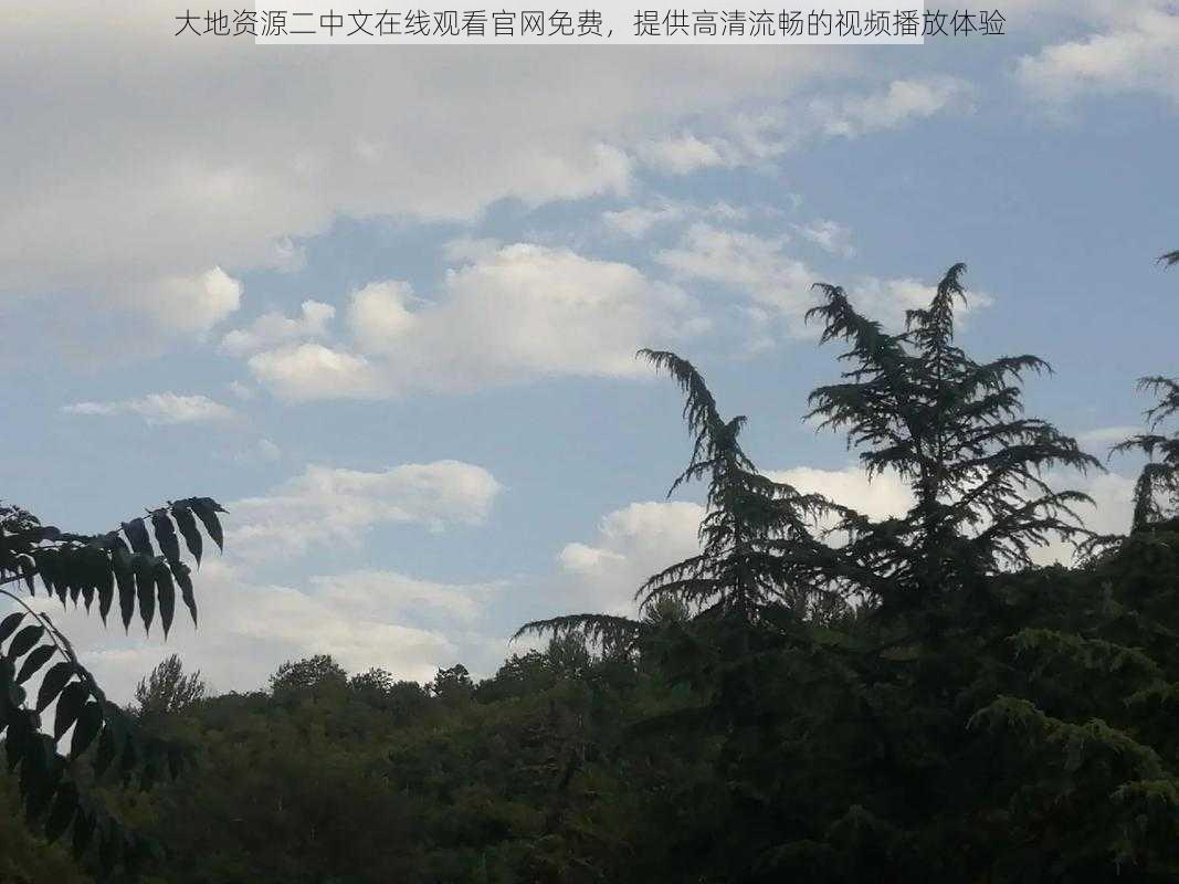 大地资源二中文在线观看官网免费,提供高清流畅的视频播放体验