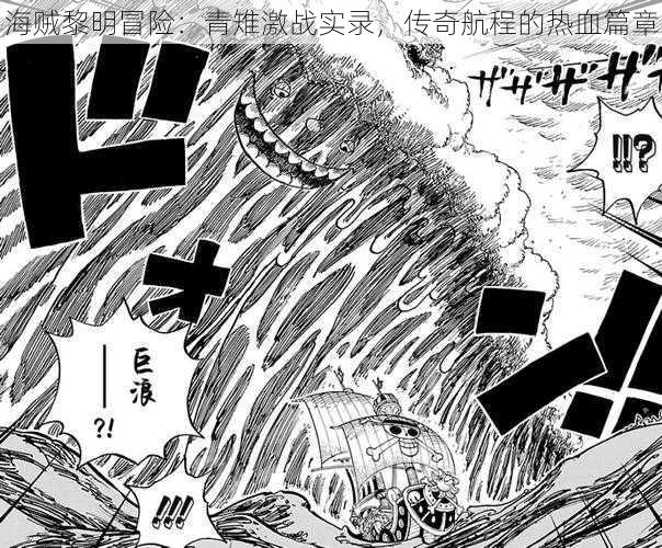 海贼黎明冒险:青雉激战实录,传奇航程的热血篇章