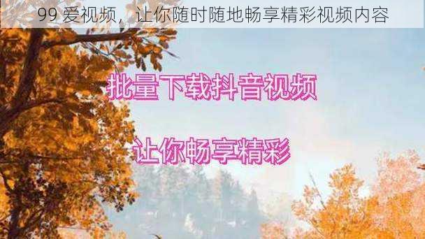 99 爱视频,让你随时随地畅享精彩视频内容
