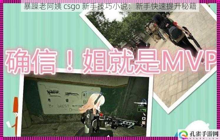 暴躁老阿姨 csgo 新手技巧小说:新手快速提升秘籍