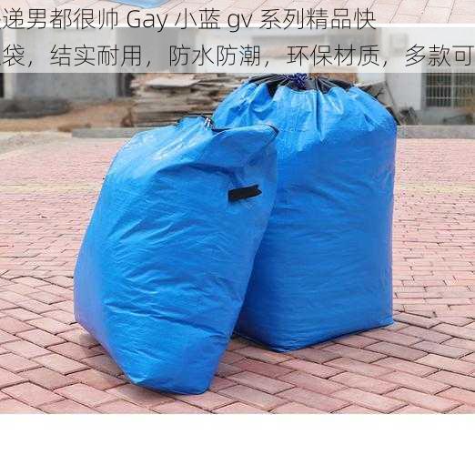 快递男都很帅 Gay 小蓝 gv 系列精品快递袋,结实耐用,防水防潮,环保材质,多款可选