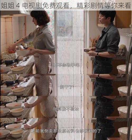 姐姐 4 电视剧免费观看,精彩剧情等你来看