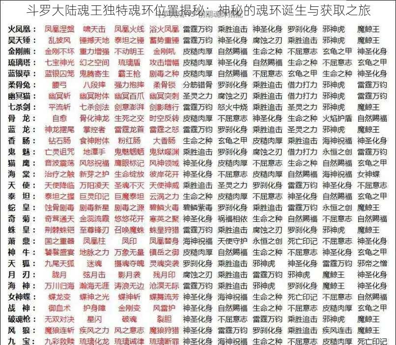 斗罗大陆魂王独特魂环位置揭秘:神秘的魂环诞生与获取之旅