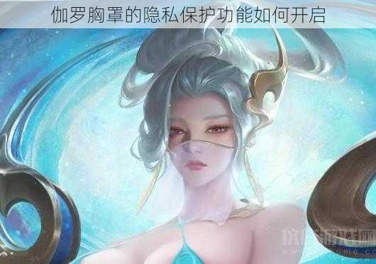 伽罗胸罩的隐私保护功能如何开启