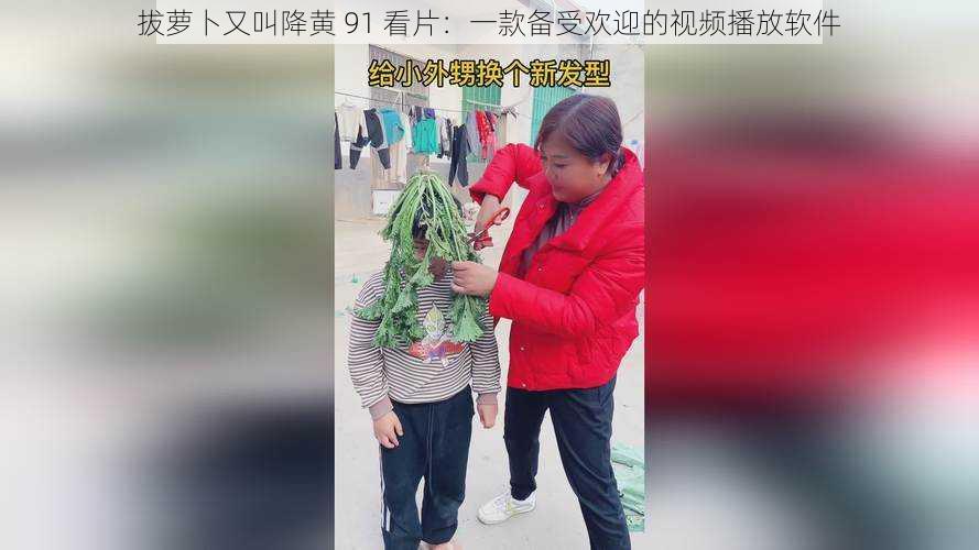 拔萝卜又叫降黄 91 看片:一款备受欢迎的视频播放软件