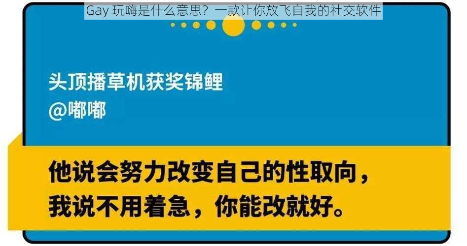 Gay 玩嗨是什么意思?一款让你放飞自我的社交软件