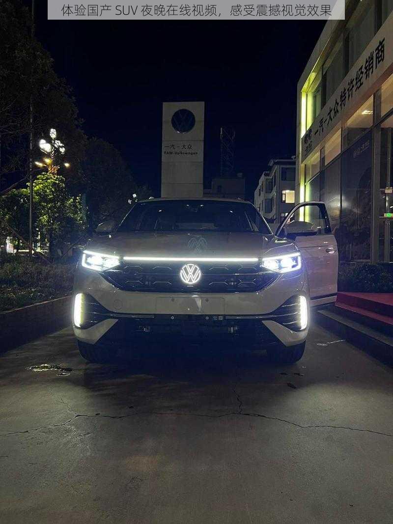 体验国产 SUV 夜晚在线视频，感受震撼视觉效果