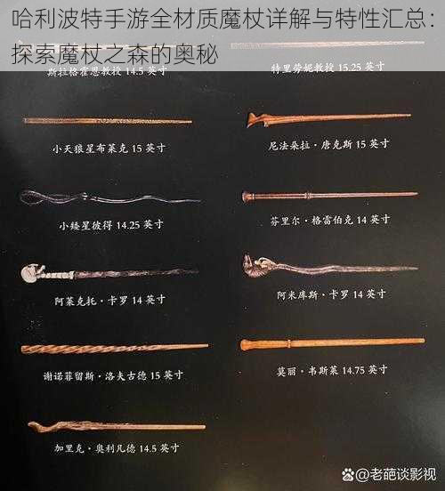 哈利波特手游全材质魔杖详解与特性汇总:探索魔杖之森的奥秘