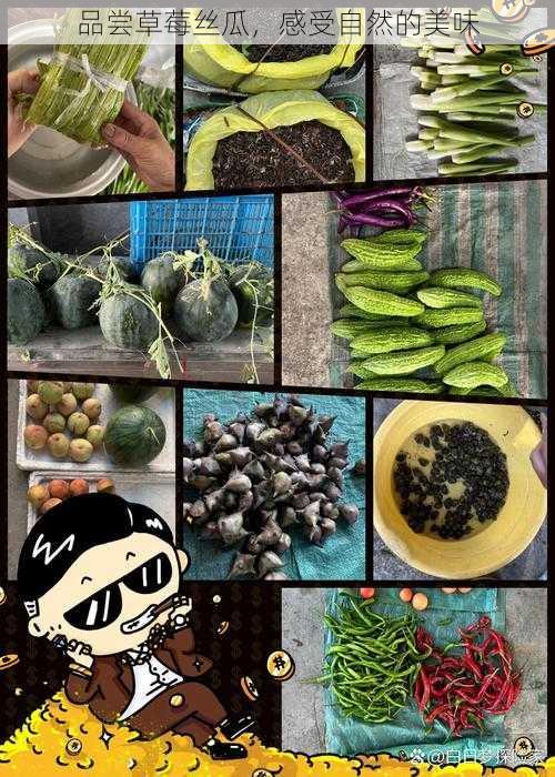 品尝草莓丝瓜,感受自然的美味