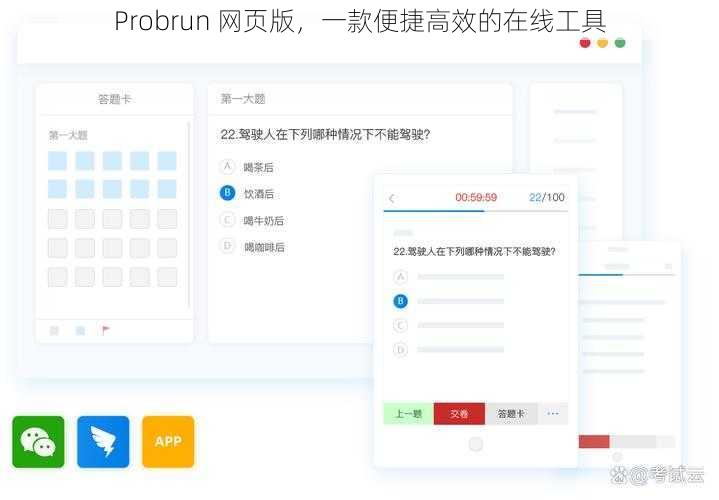 Probrun 网页版,一款便捷高效的在线工具