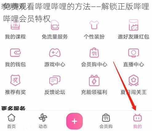 免费观看哔哩哔哩的方法——解锁正版哔哩哔哩会员特权