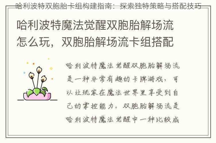 哈利波特双胞胎卡组构建指南:探索独特策略与搭配技巧
