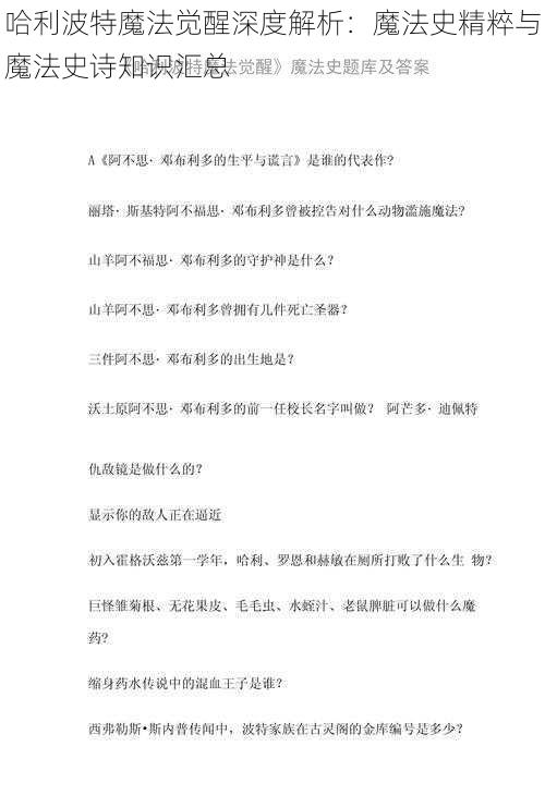 哈利波特魔法觉醒深度解析:魔法史精粹与魔法史诗知识汇总