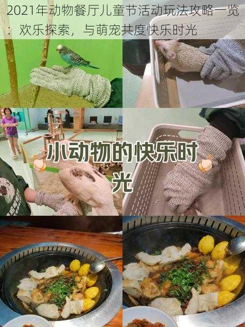 2021年动物餐厅儿童节活动玩法攻略一览:欢乐探索,与萌宠共度快乐时光