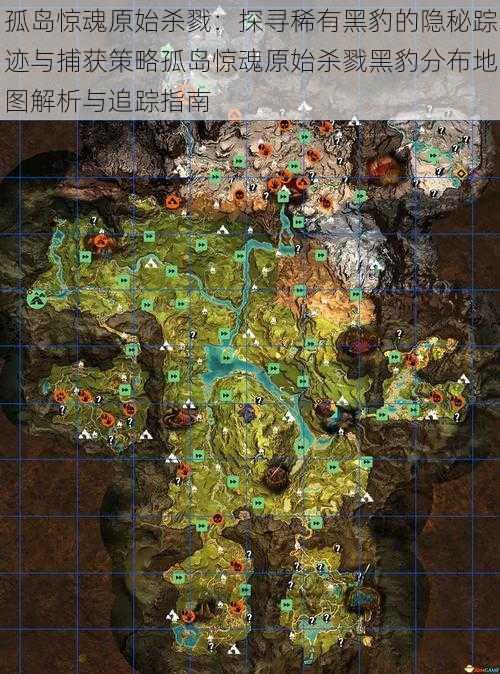 孤岛惊魂原始杀戮:探寻稀有黑豹的隐秘踪迹与捕获策略孤岛惊魂原始杀戮黑豹分布地图解析与追踪指南