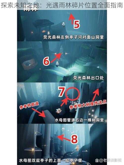 探索未知之地:光遇雨林碎片位置全面指南