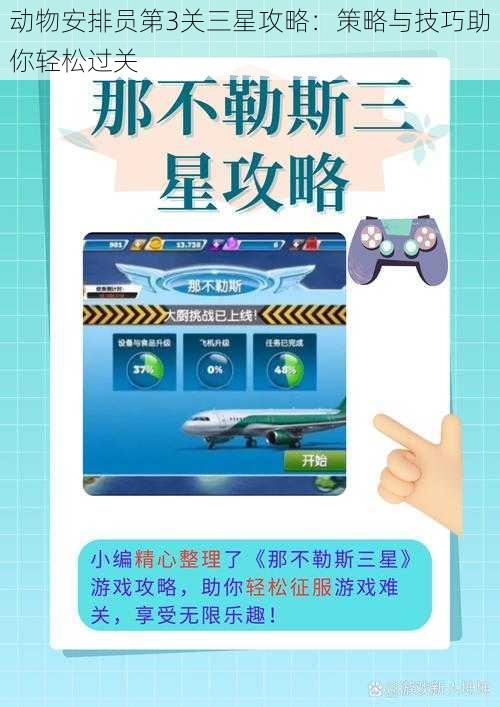 动物安排员第3关三星攻略:策略与技巧助你轻松过关