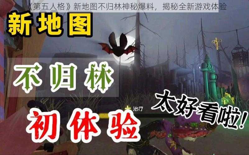 《第五人格》新地图不归林神秘爆料,揭秘全新游戏体验