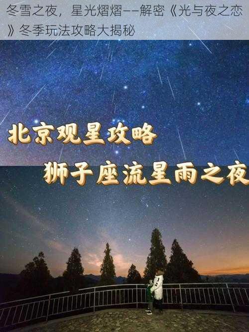冬雪之夜,星光熠熠——解密《光与夜之恋》冬季玩法攻略大揭秘