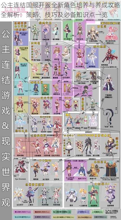 公主连结国服开服全新角色培养与养成攻略全解析:策略、技巧及必备知识点一览