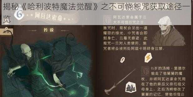 揭秘《哈利波特魔法觉醒》之不可饶恕咒获取途径一览
