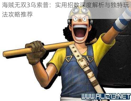 海贼无双3乌索普:实用招数深度解析与独特玩法攻略推荐