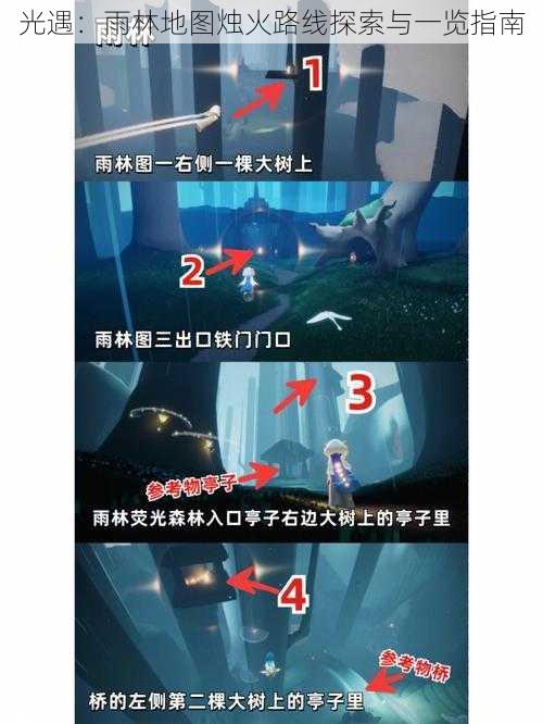 光遇:雨林地图烛火路线探索与一览指南