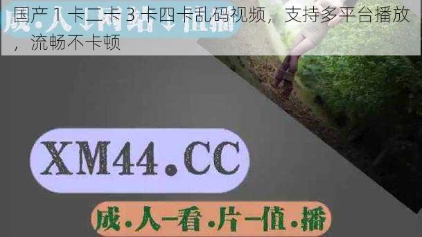 国产 1 卡二卡 3 卡四卡乱码视频,支持多平台播放,流畅不卡顿