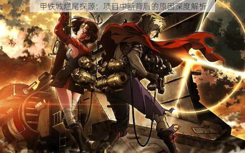 甲铁城烂尾探源:项目中断背后的原因深度解析