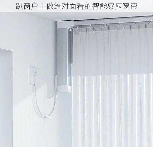 趴窗户上做给对面看的智能感应窗帘