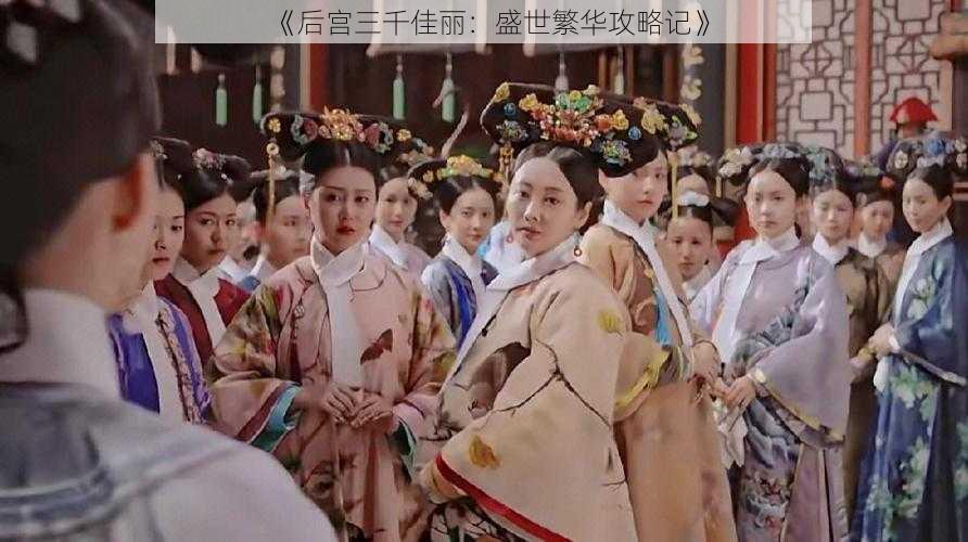 《后宫三千佳丽:盛世繁华攻略记》