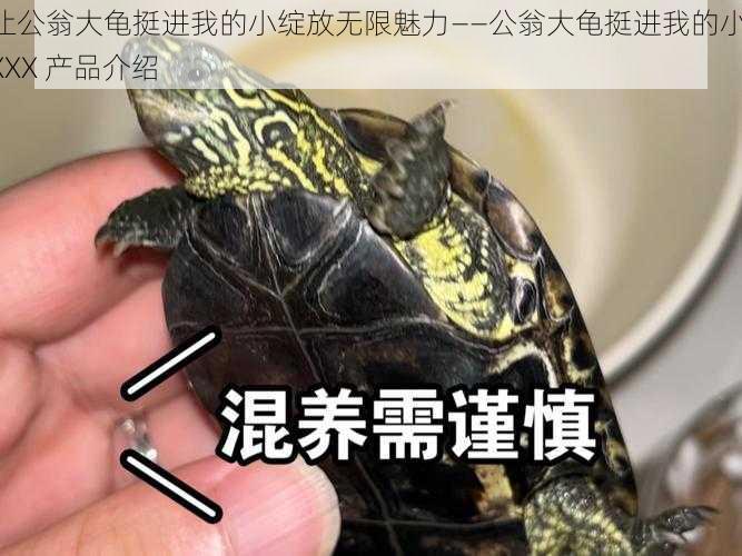 让公翁大龟挺进我的小绽放无限魅力——公翁大龟挺进我的小 XXX 产品介绍