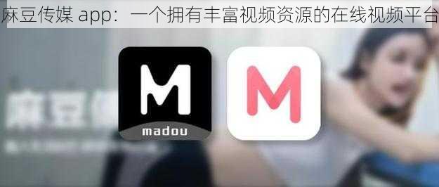 麻豆传媒 app:一个拥有丰富视频资源的在线视频平台