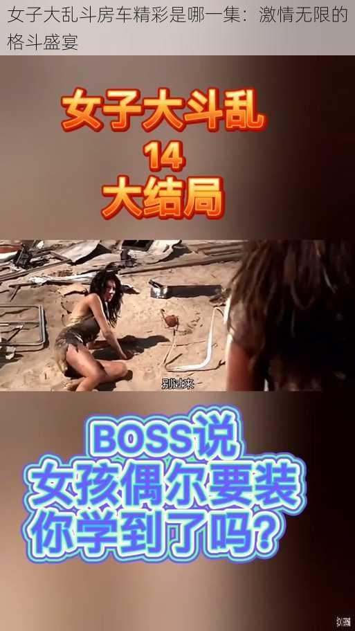 女子大乱斗房车精彩是哪一集:激情无限的格斗盛宴
