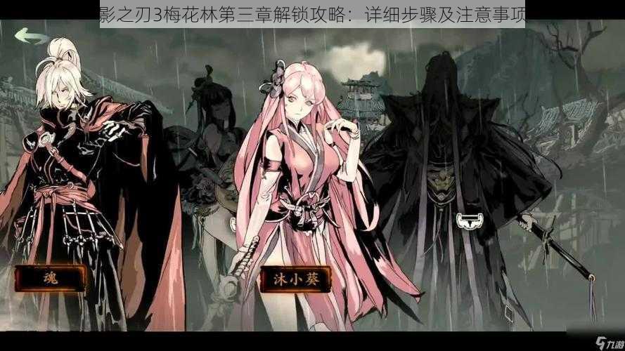 影之刃3梅花林第三章解锁攻略:详细步骤及注意事项