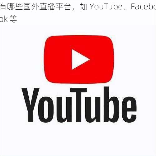 有哪些国外直播平台,如 YouTube、Facebook 等